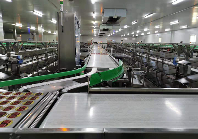 yh英皇×某知名生鲜品牌 | 生鲜输送分拣线